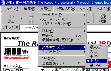 IE文字の大きさ